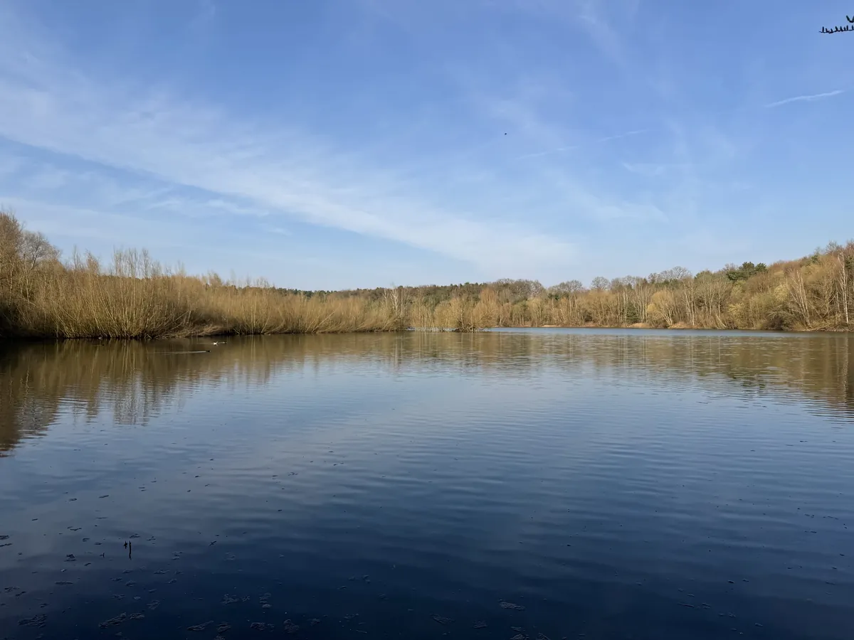 Naturteich in der Umgebung von Brelingen, Wedemark
